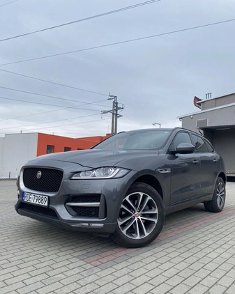 Jaguar F-Pace cena 97800 przebieg: 140000, rok produkcji 2017 z Dębica małe 172